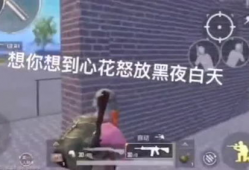 搞鸡视频下载,轻松获取热门短视频